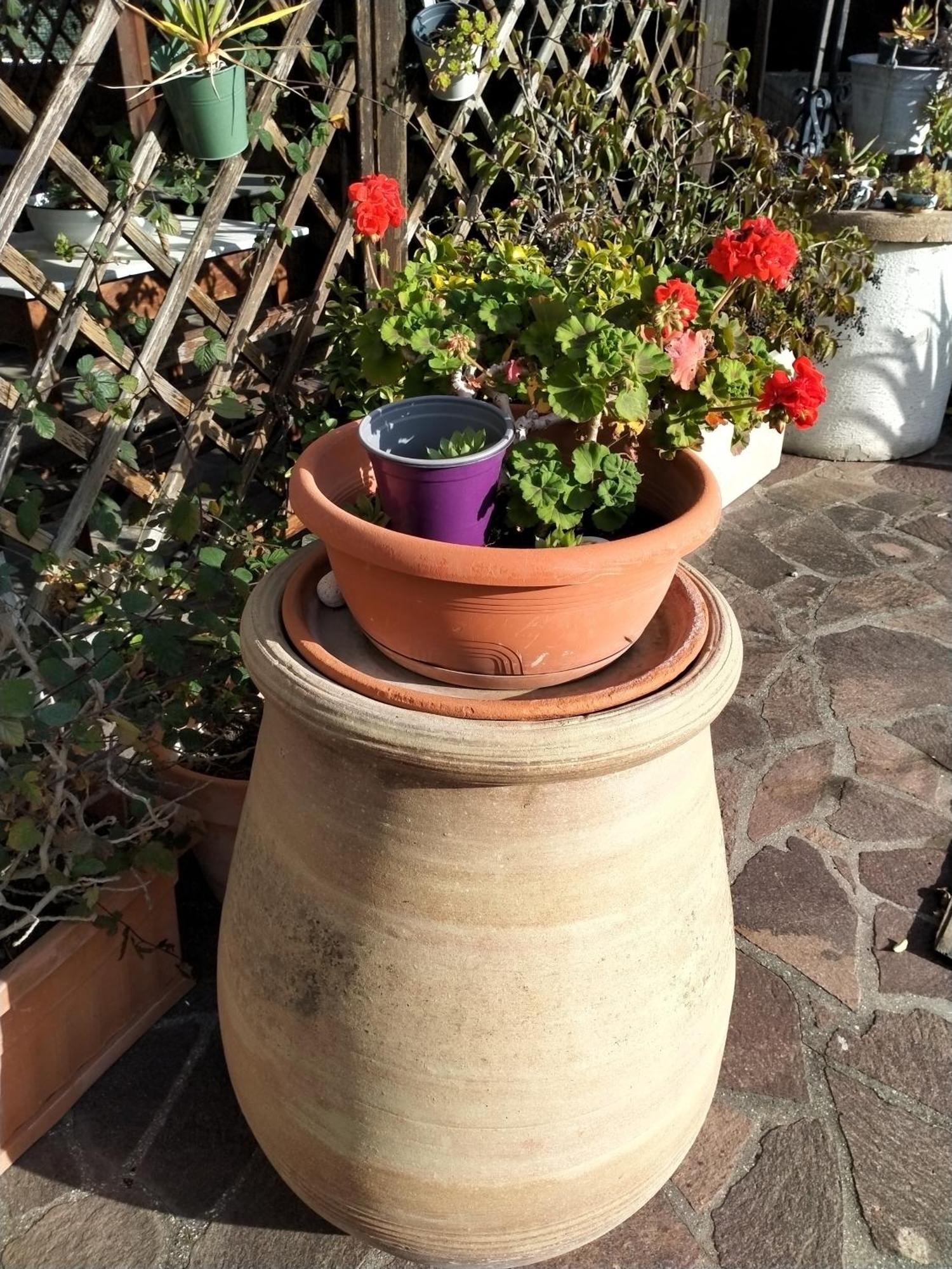 B&B A Casa Di Mael San Costanzo Kültér fotó